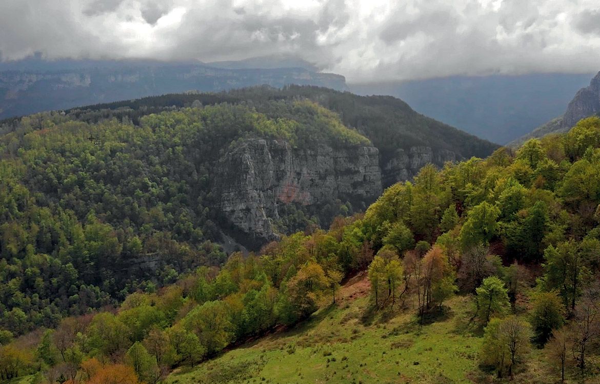 L'Aspas a racheté 490 hectares sur les hauteurs de Léoncel (Drôme), en plein Vercors. 